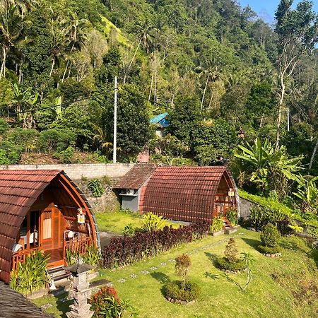 Villa Lumbung Ayu Sari & Spa Каранґасем Екстер'єр фото